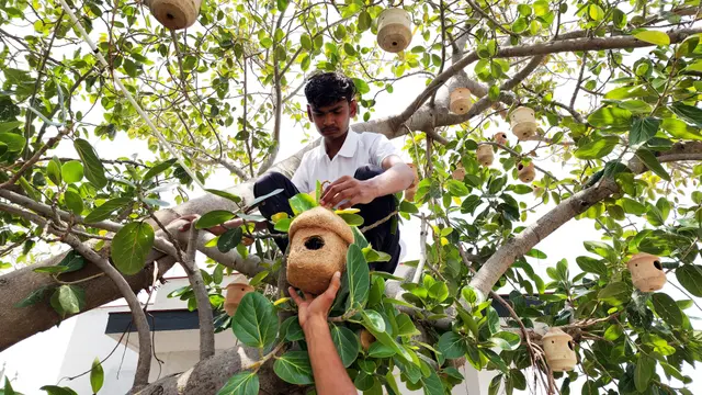 Animal Care & Rescue 5