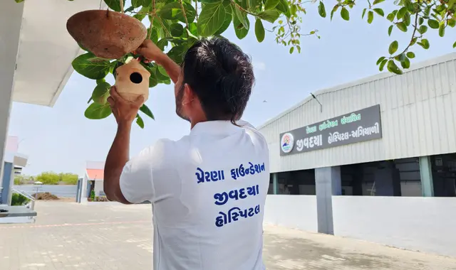 Animal Care & Rescue 7