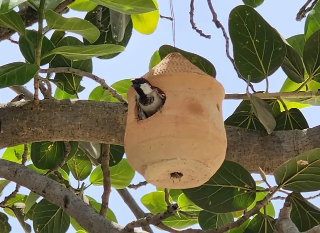 Animal Care & Rescue 20