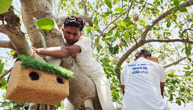 Animal Care & Rescue 40