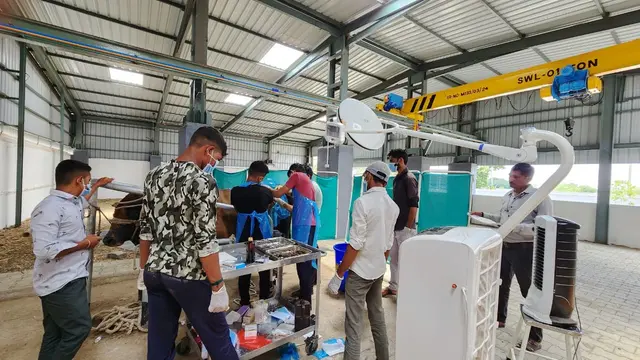 Animal Care & Rescue 42