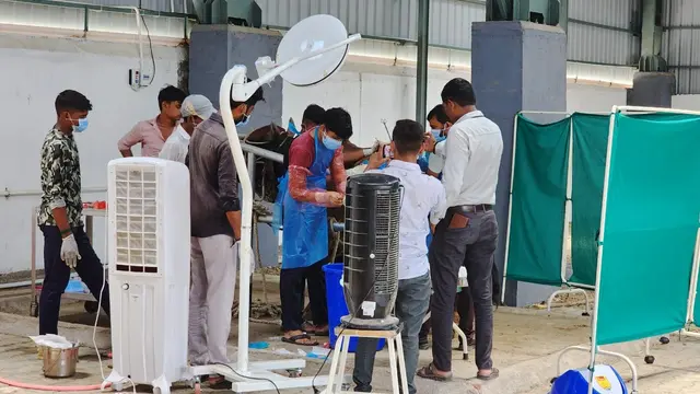 Animal Care & Rescue 44