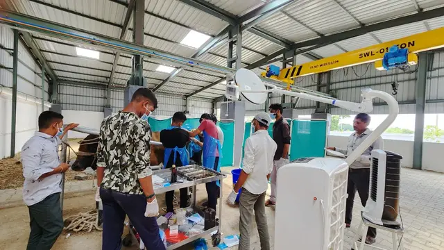 Animal Care & Rescue 45