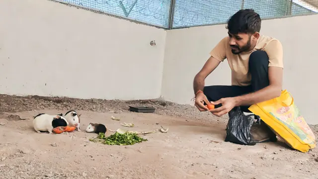 Animal Care & Rescue 1