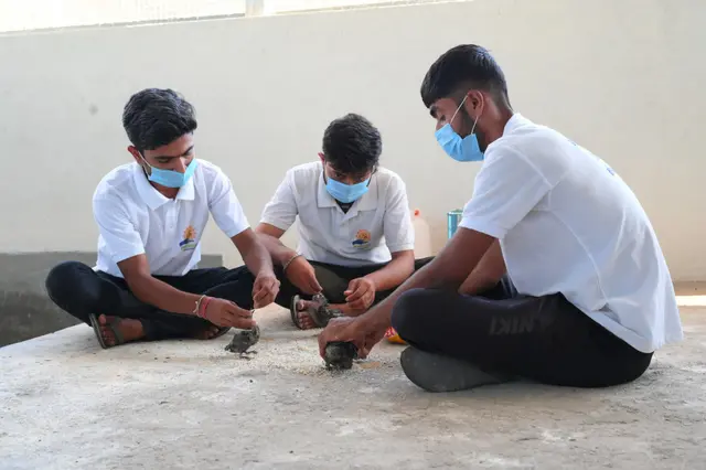 Animal Care & Rescue 9