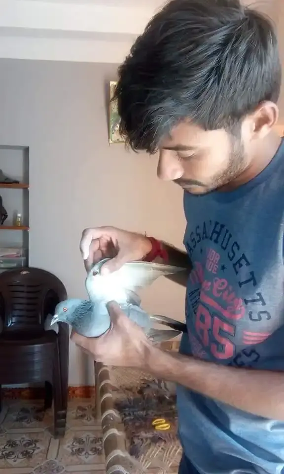 Animal Care & Rescue 13