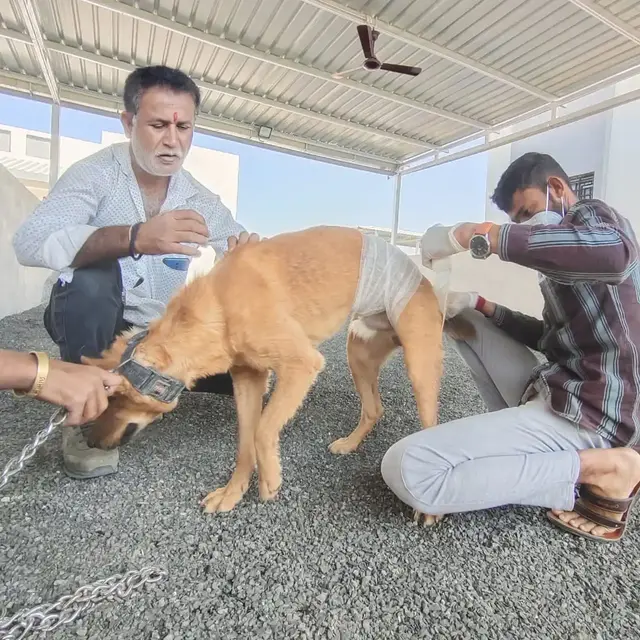 Animal Care & Rescue 14