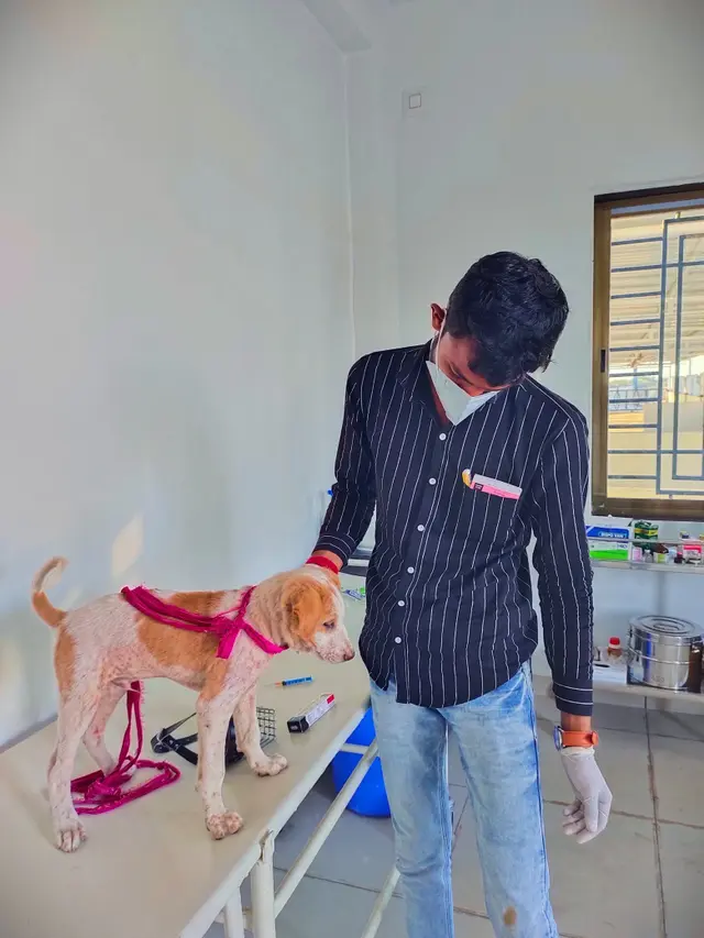 Animal Care & Rescue 21