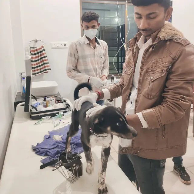 Animal Care & Rescue 23