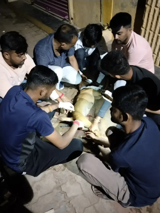 Animal Care & Rescue 24