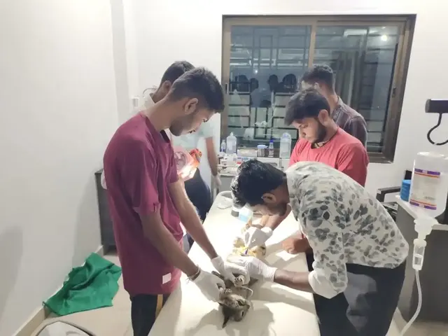 Animal Care & Rescue 25