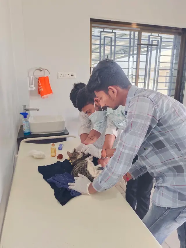 Animal Care & Rescue 27