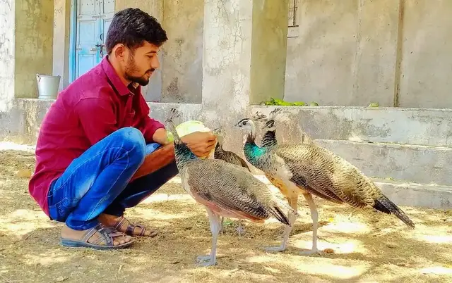 Animal Care & Rescue 29