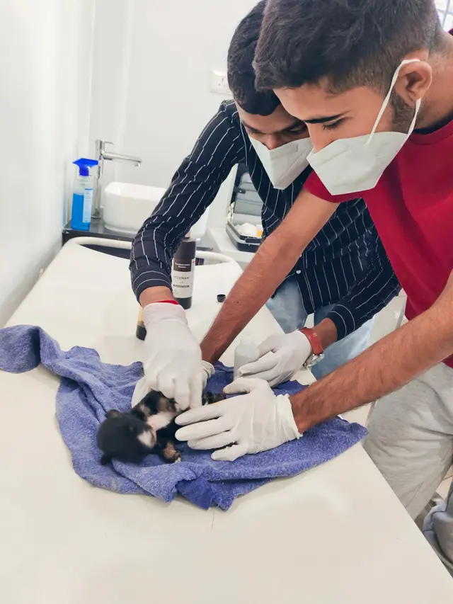 Animal Care & Rescue 30