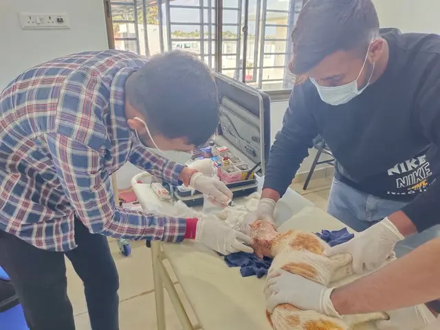 Animal Care & Rescue 32