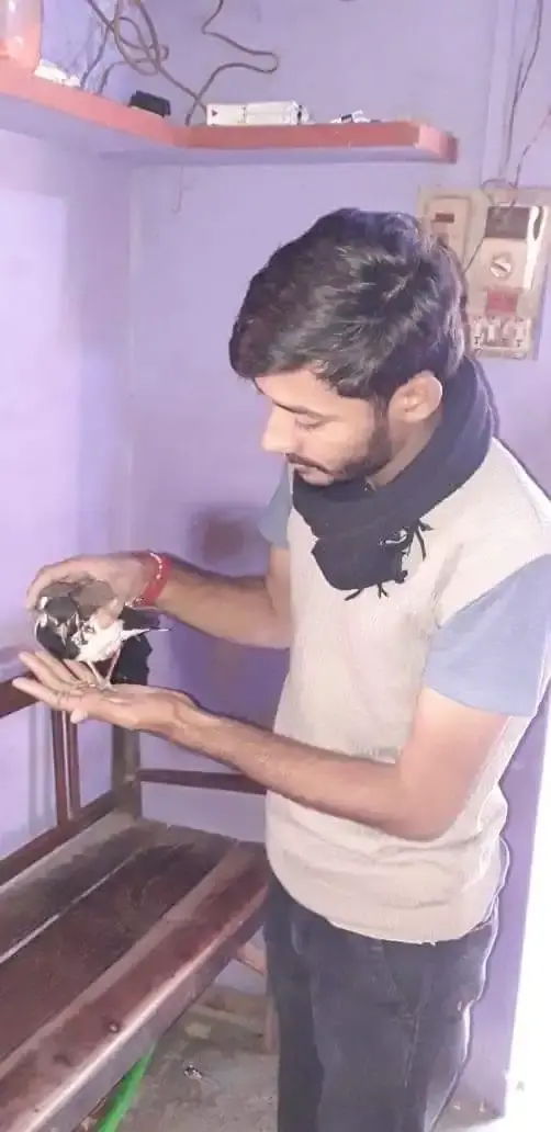 Animal Care & Rescue 34