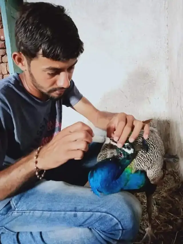 Animal Care & Rescue 36