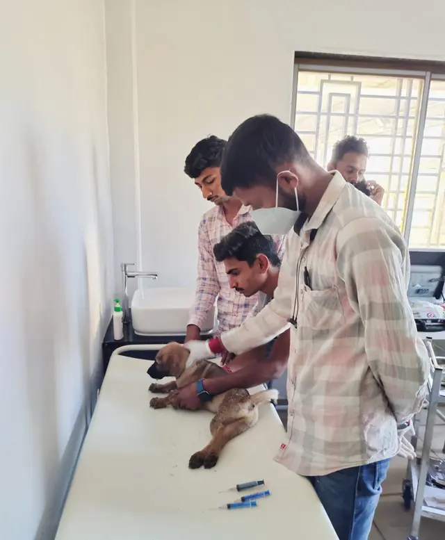 Animal Care & Rescue 37