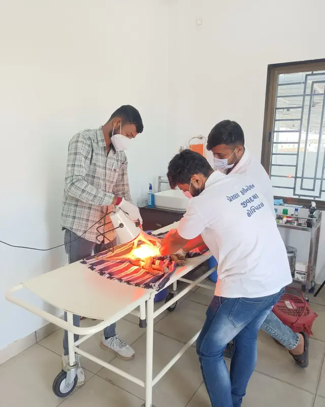 Animal Care & Rescue 38