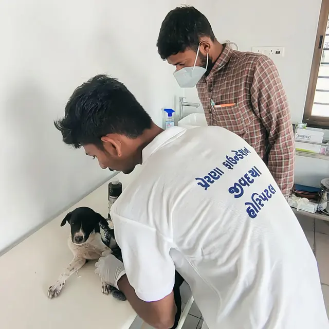 Animal Care & Rescue 47