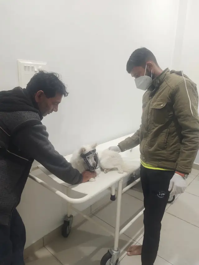 Animal Care & Rescue 52