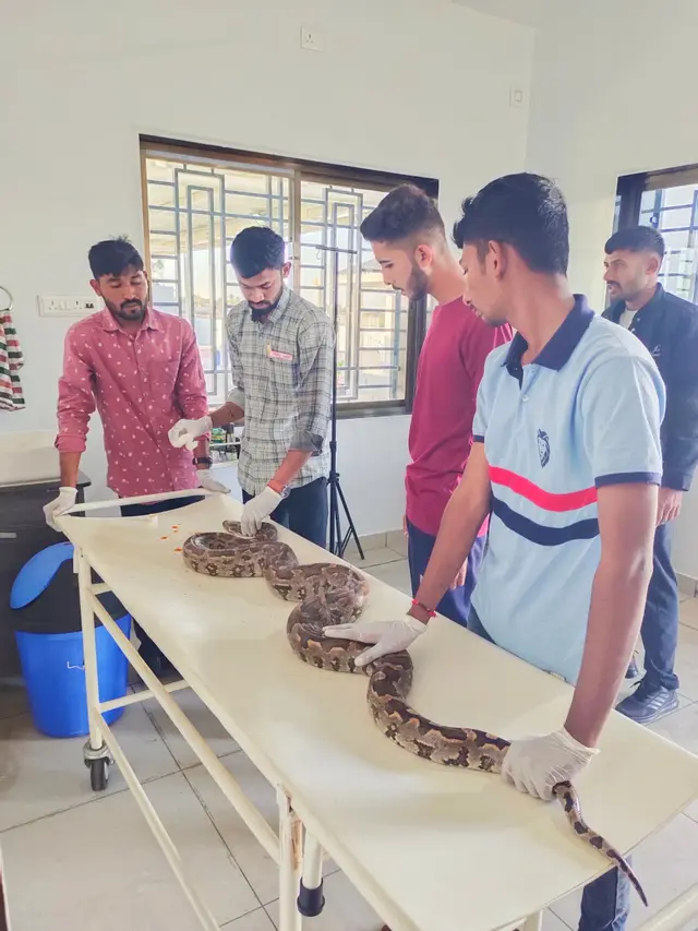 Animal Care & Rescue 54