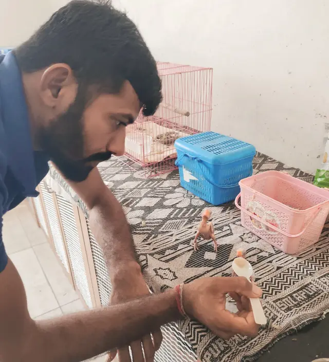 Animal Care & Rescue 55