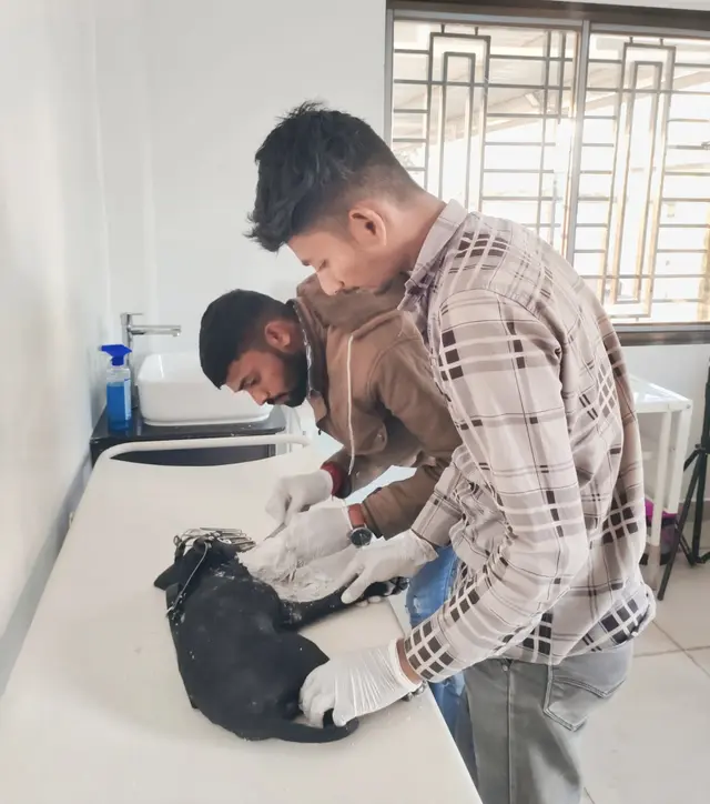 Animal Care & Rescue 59