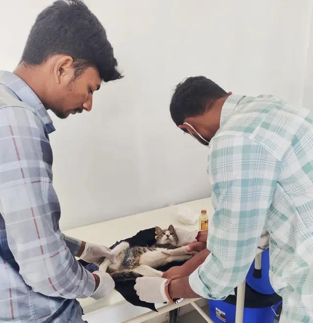 Animal Care & Rescue 61