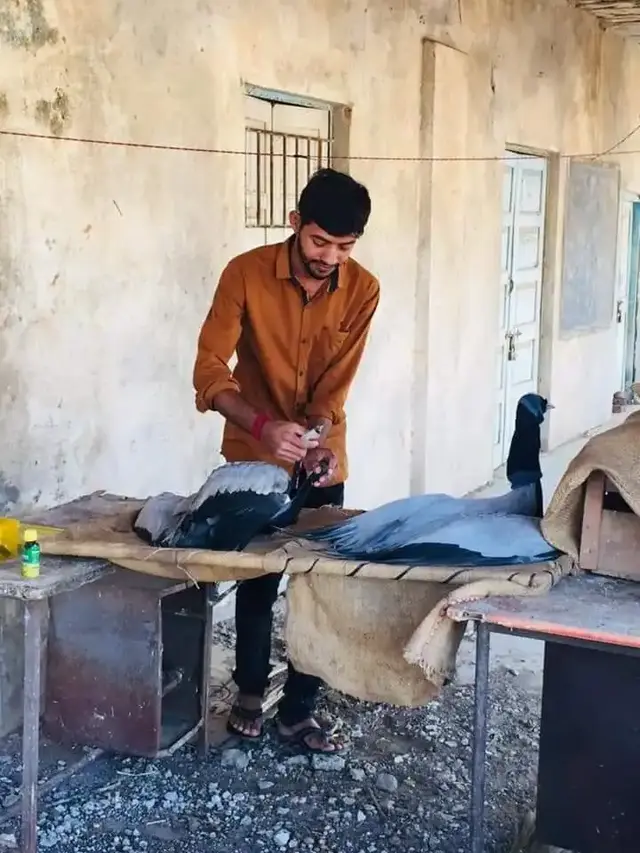 Animal Care & Rescue 63