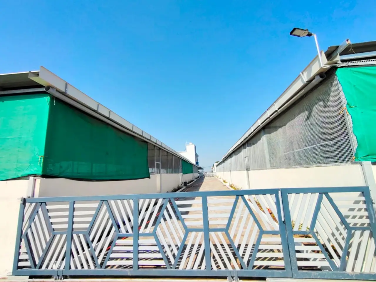 Prerna Foundation Activity 1